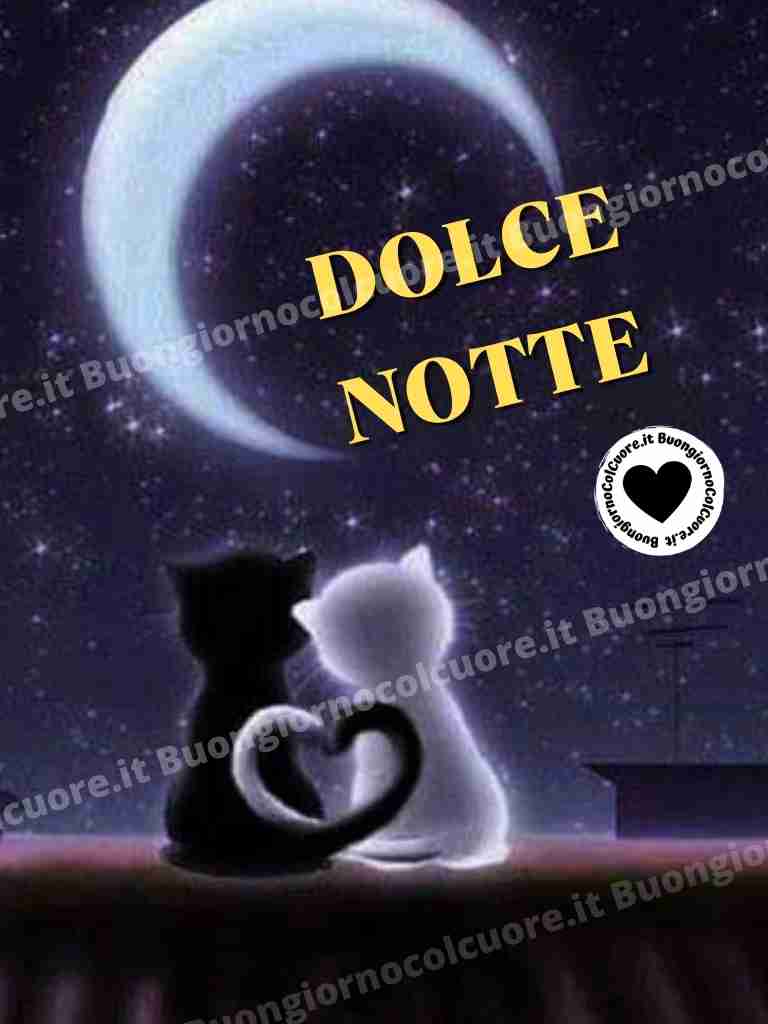 dolce notte 001