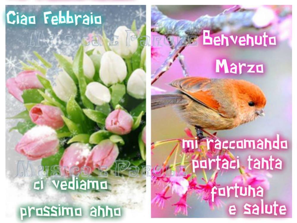 Ben Arrivato Marzo 06